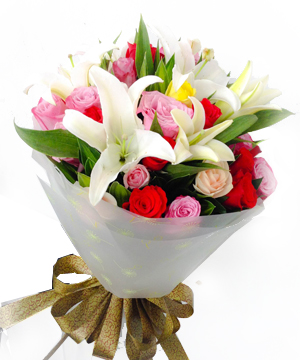 Hạnh phúc - Websieutoc.VN