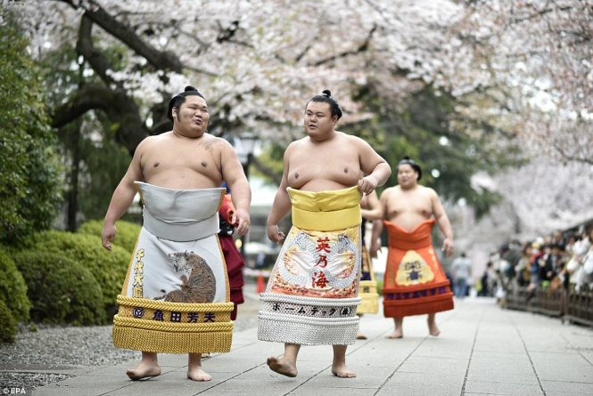 Đô vật sumo tại yasukini